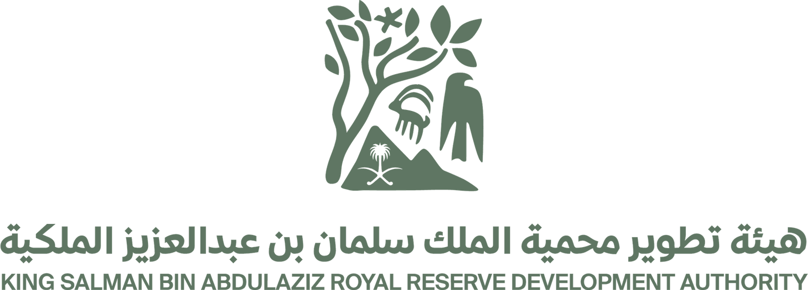 King Salman bin Abdulaziz royal development authority